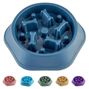 Interactive Slow Feeder Dog Bowl