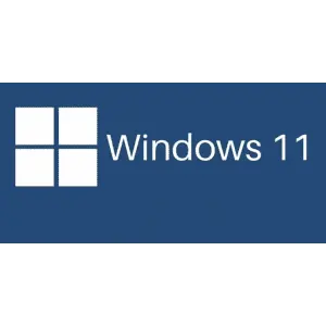 Microsoft Windows 11 Professional and Home