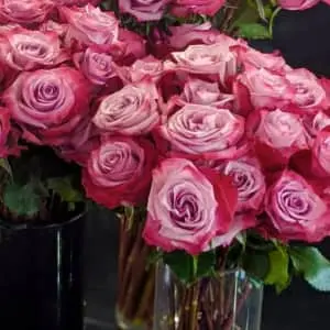 24-Count Longstem Rose Valentine's Bouquet