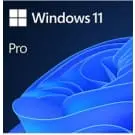 Windows 11 Pro