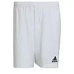 adidas men Entrada 22 Shorts (White)