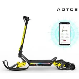 Winter eScooter Ski Kit