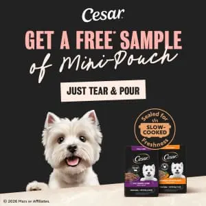 Cesar Dog Food Sample