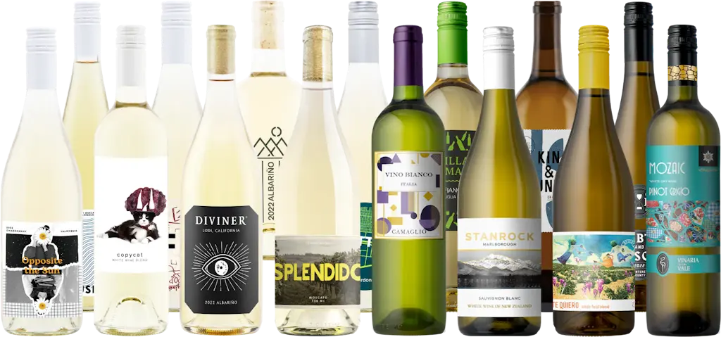 Splash Wines Spring is Coming White Wine 15-Pack