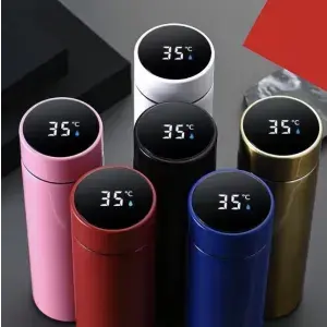 Vacuum Insulated 500ml Thermos w/ Temperature Display