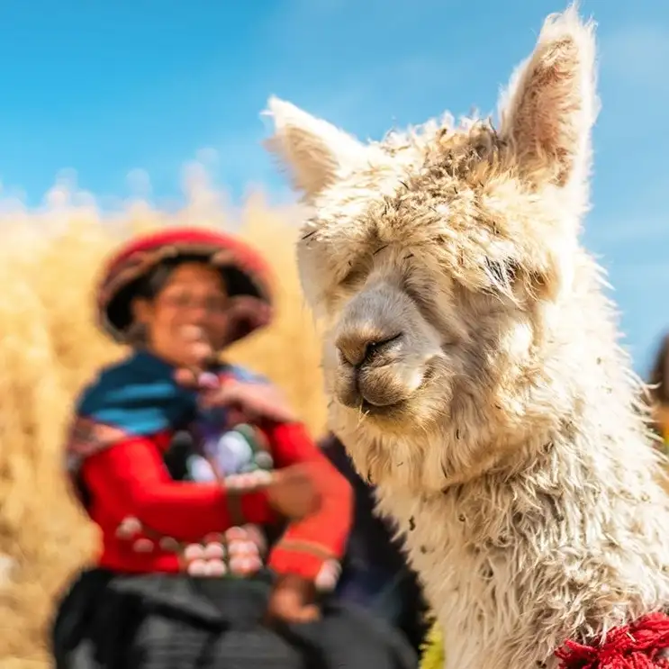 7-Night Peru Flight, Hotel, and Machu Picchu Vacation