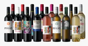 Splash Wines Starter Sensational 16-Pack