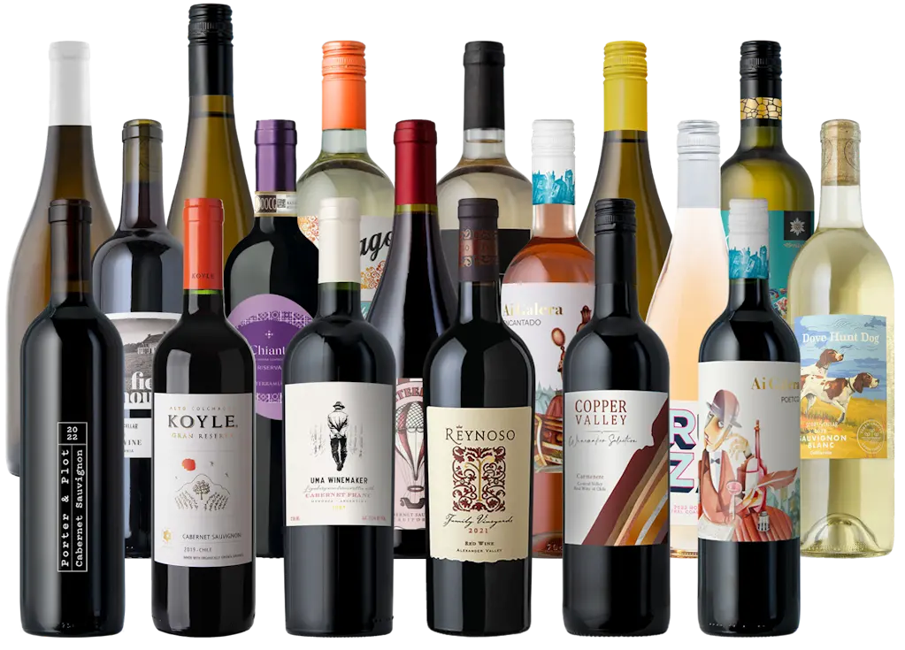 Splash Wines Out of This Galaxy 18-Pack Special