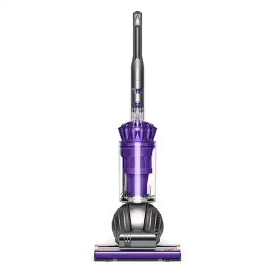 Dyson Ball Animal 2 Upright Vacuum