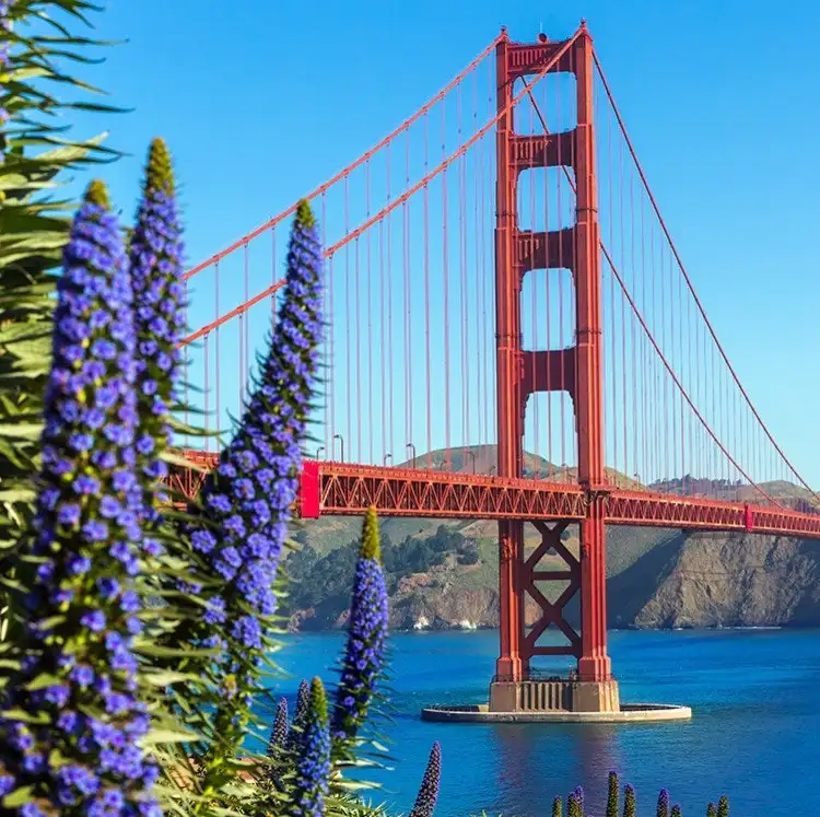 Princess 7-Night Pacific Wine Country Cruise