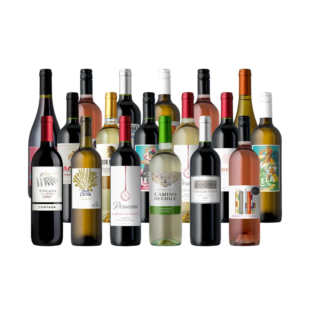 Splash Wines Bargain Bulk Summer Overstock 18-Pack