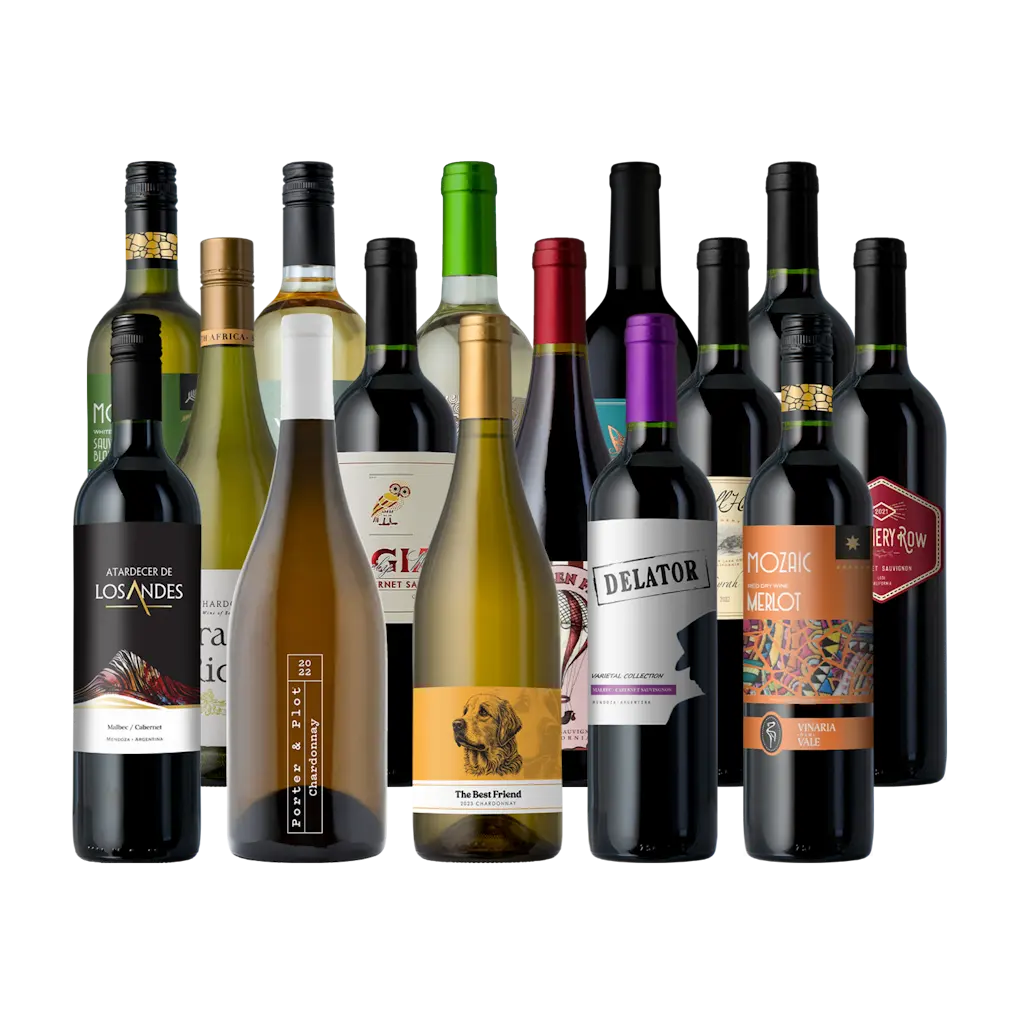 Splash Wines Perfect Cheese Pairing 15-Pack