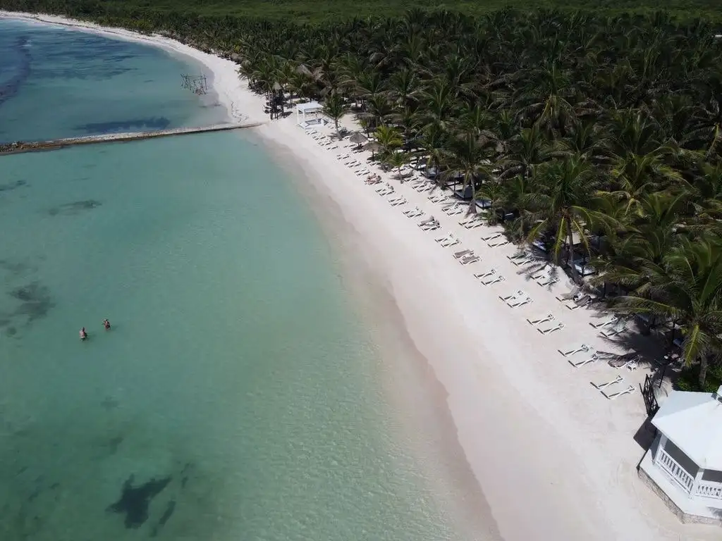 4-Night El Dorado Seaside Palms Adults-Only All-Inclusive Flight and Resort Vacation
