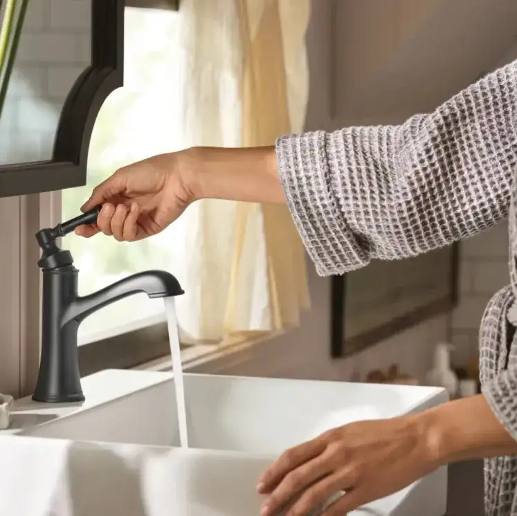 Moen Promo Code