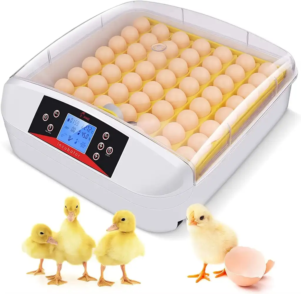 Automatic 56-Egg Incubator