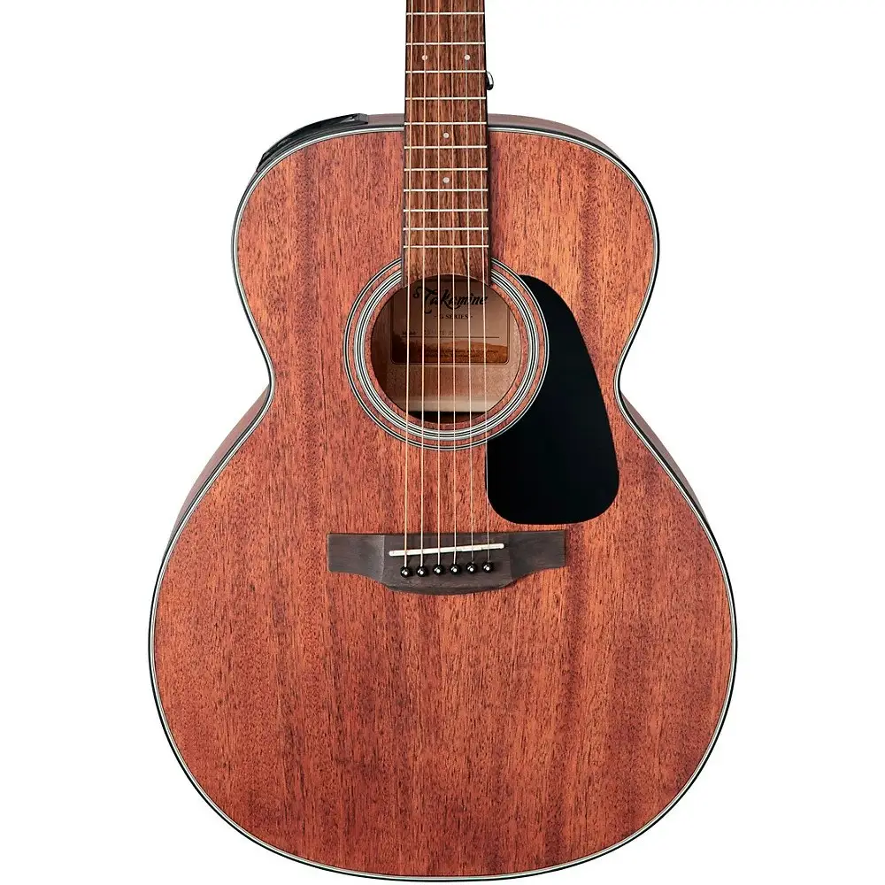 Takamine NEX Acoustic-Electric Guitar