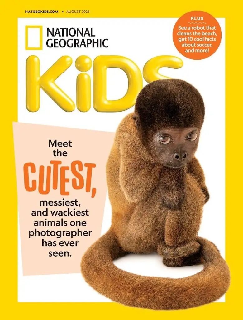 DiscountMags Kids' Sale Subscriptions