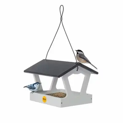 Bird Choice 7" Modern Farmhouse Fly Thru Bird Feeder