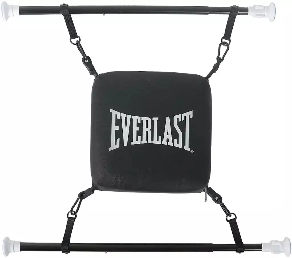 Everlast Doorway Punching Bag