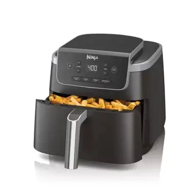 Ninja Pro 4-in-1 Air Fryer