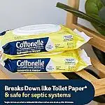 2-Pack 42-Count Cottonelle Summer Fresh Scented Flushable Wipes