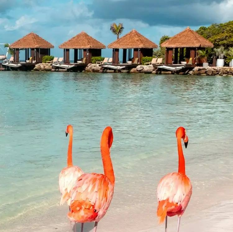 Oceania 14-Night Caribbean Cruise
