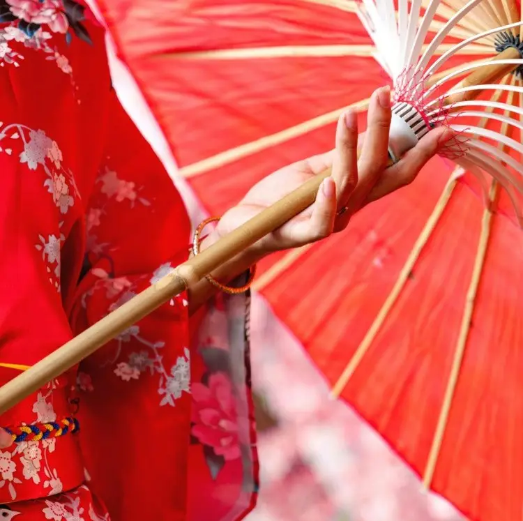 13-Night Japan & South Korea Flight, Hotel, and Rail Vacation