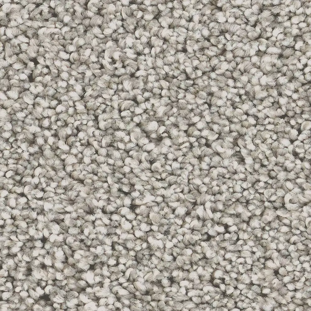 Stainmaster PetProtect Animal Instincts III Textured Indoor Carpet