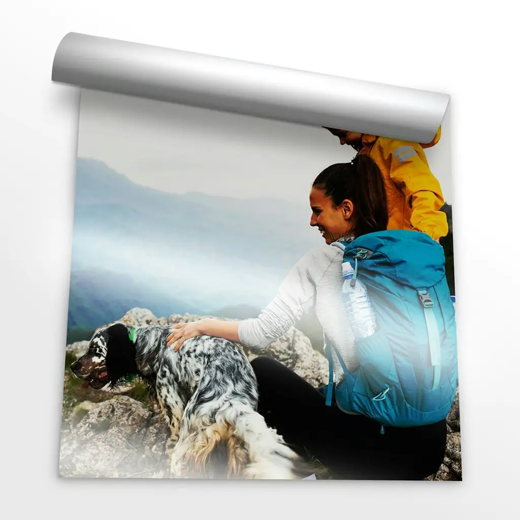 CVS Photo 16x20 Metallic Poster Print