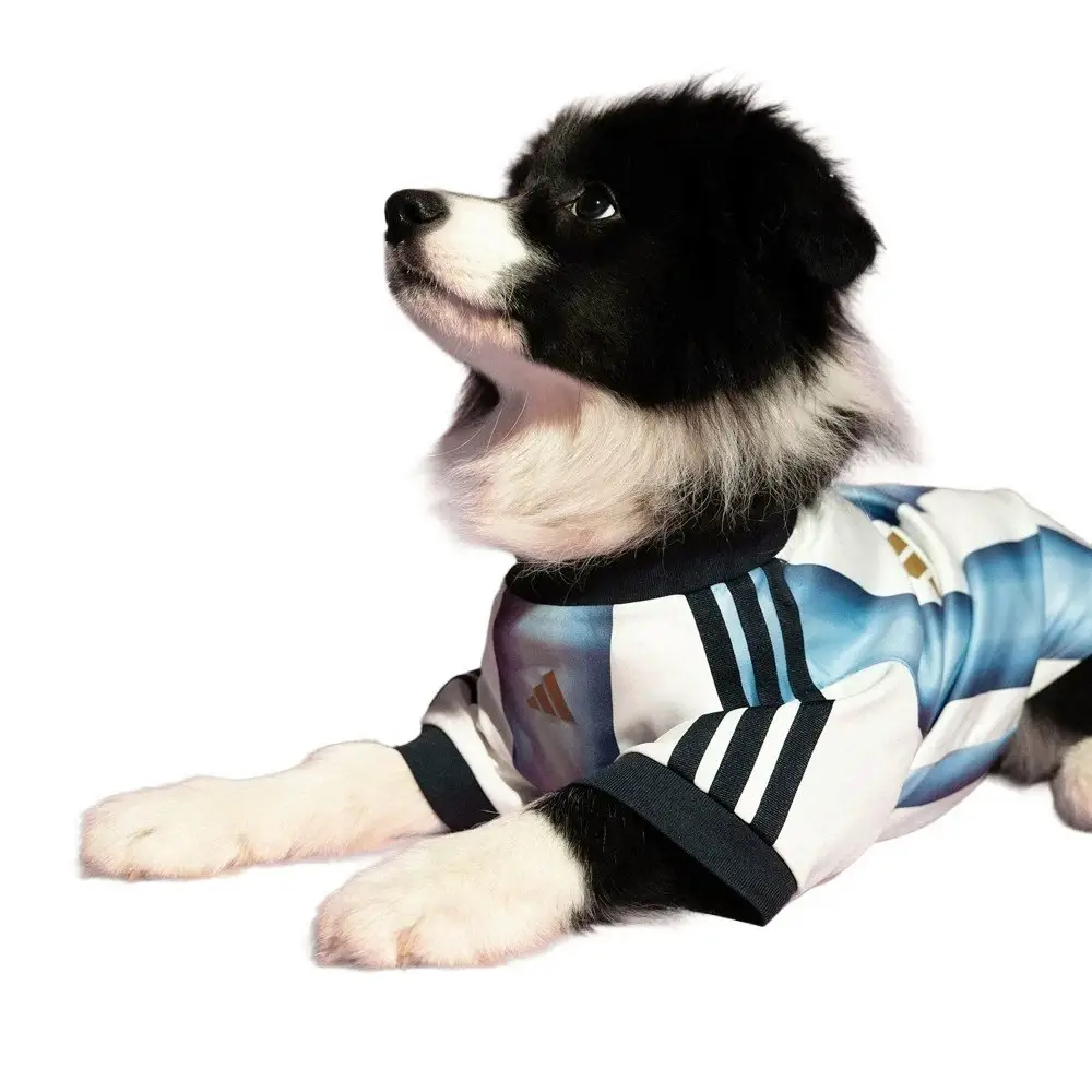 adidas Pet Jersey