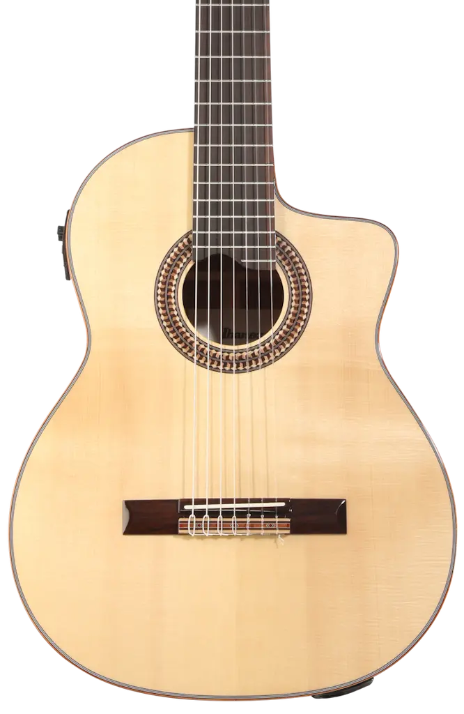 Ibanez Cutaway Classical 7-String Acoustic-Electric Guitar