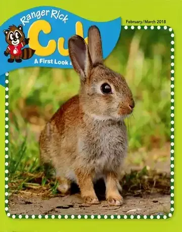 DiscountMags Kids Magazine Sale
