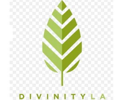 Divinity LA كود خصم