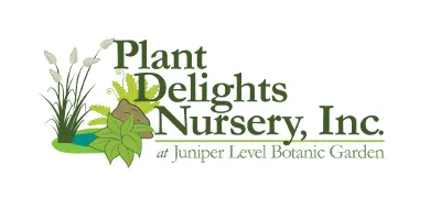 Plant Delights Nursery Kody Rabatowe 