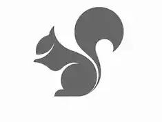 Descuento Squirrels