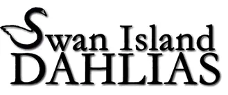 Swan Island Dahlias Kody Rabatowe 