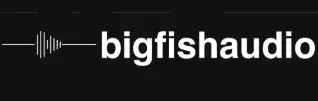 mã giảm giá Big Fishdio