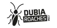 mã giảm giá Dubia Roaches