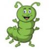 InchBug Coupons