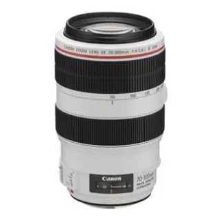Canon EF 70-300mm f/4-5.6L IS USM UD Autofocus Telephoto Zoom Lens - USA