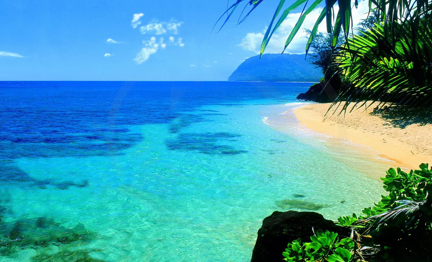 United Airlines: Fares to Hawaii Roundtrip from $351.81