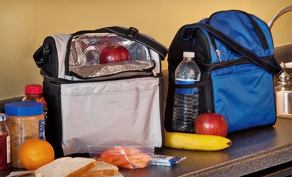 Insulated Dual Lunch Bag in Gray or Royal Blue