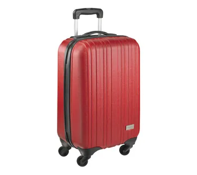 DiVOGA 20" Carry-On Spinning Suitcase
