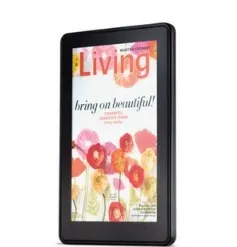 Amazon Kindle Fire with 8GB Memory (Used)