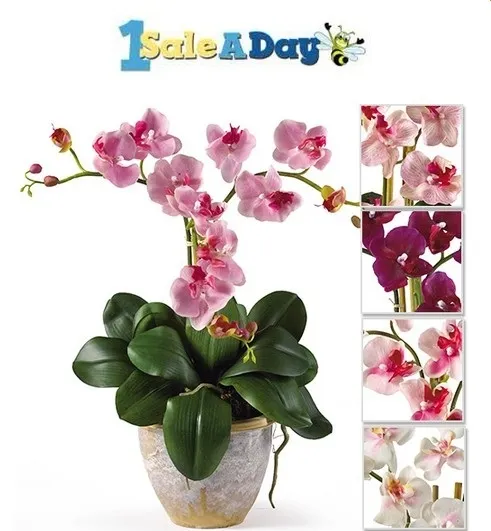 1 Sale A Day Flash Sale: Up To 88% OFF Select Fall Entertaining Collection