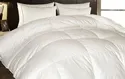 Hotel Grand 1,000-Thread-Count Oversized European Down Comforter