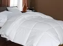 700-Thread-Count Hungarian White Goose Down Comforters
