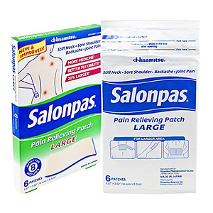 Salonpas Pain Relieving Patch Large - 6 Count
