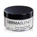 Dermablend Loose Setting Powder