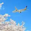 五星新加坡航空 洛杉矶--日本东京 往返机票好价 